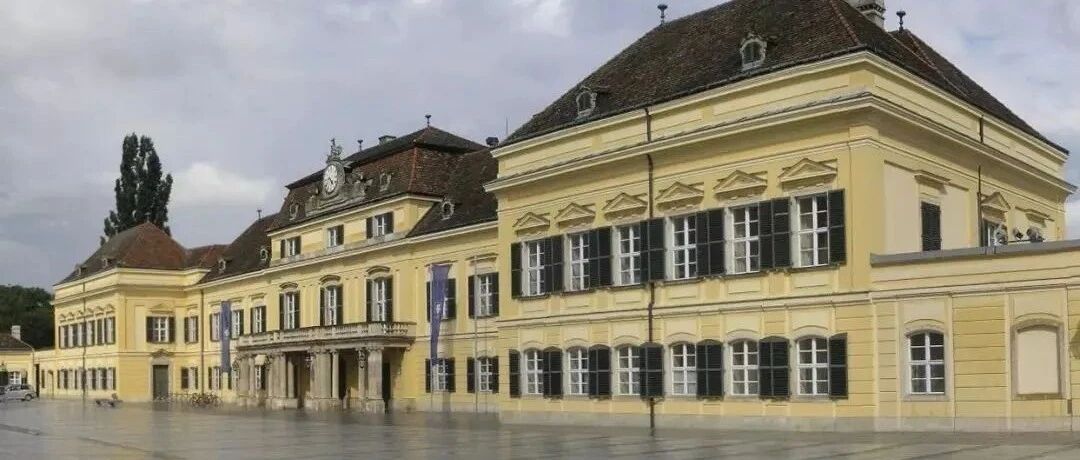 CEADs快讯：雷天扬入选国际应用系统分析学会2022年度青年科学家暑期项目